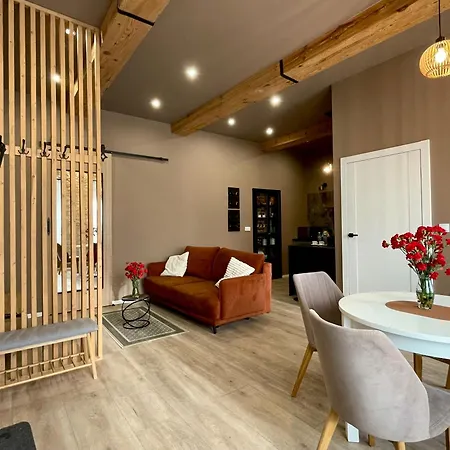 7 Kamienic 29 Lok 2b Vis A Vis Jasnej Góry * Częstochowa