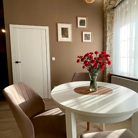 7 Kamienic 29 Lok 2b Vis A Vis Jasnej Góry Apartament Częstochowa