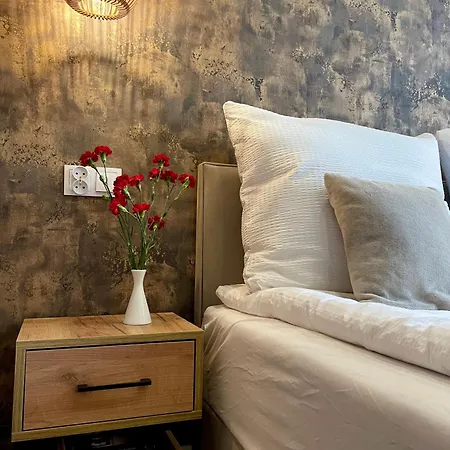 7 Kamienic 29 Lok 2b Vis A Vis Jasnej Góry * Częstochowa