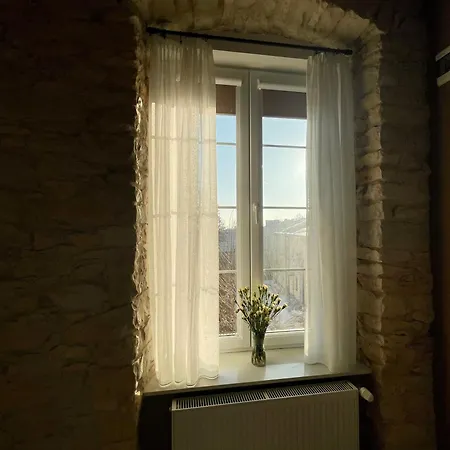 7 Kamienic 29 Lok 2b Vis A Vis Jasnej Góry Częstochowa