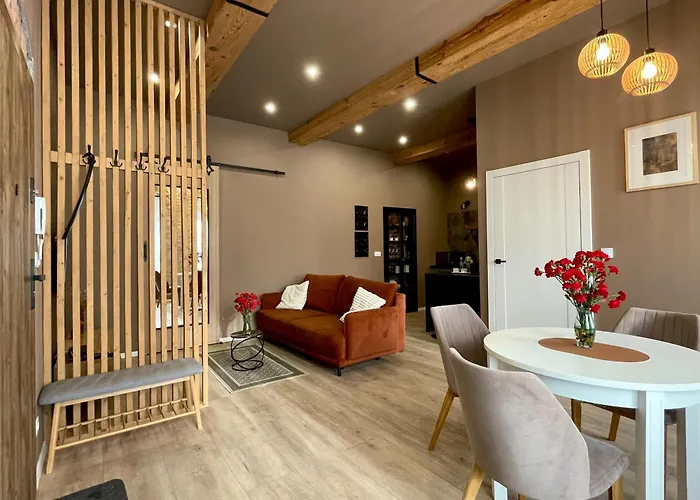 7 Kamienic 29 Lok 2b Vis A Vis Jasnej Gory * Čenstochová