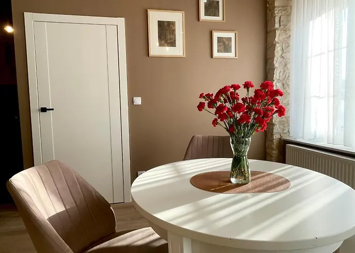 7 Kamienic 29 Lok 2b Vis A Vis Jasnej Gory Apartmán Čenstochová