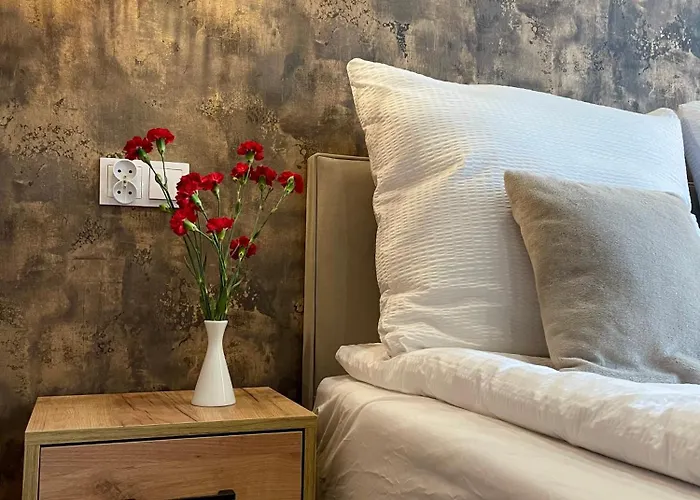 7 Kamienic 29 Lok 2b Vis A Vis Jasnej Gory * Czestochowa