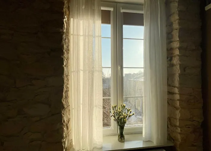 7 Kamienic 29 Lok 2b Vis A Vis Jasnej Gory Czestochowa